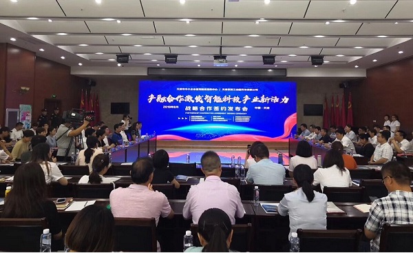 华体会网页_华体会(中国)科技喜获千万级担保授信